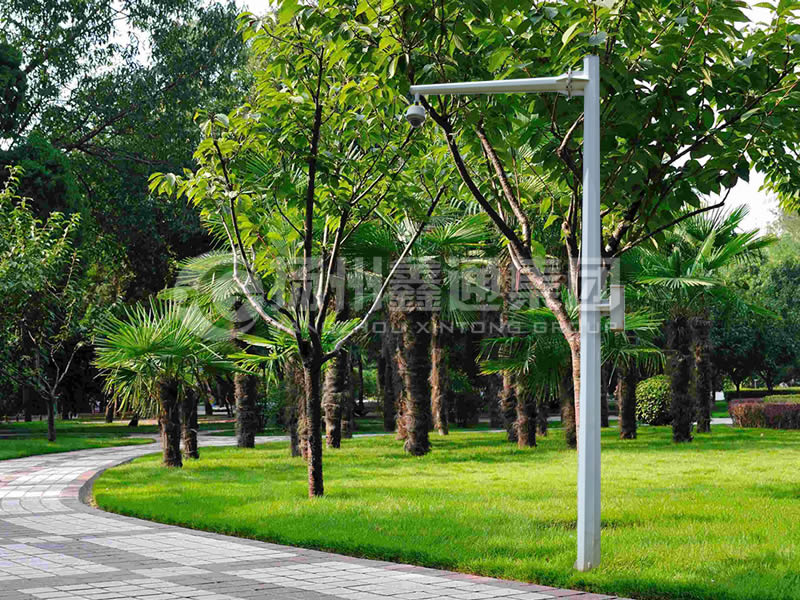 DJG-022，電子警察桿，八棱懸臂球機(jī)桿